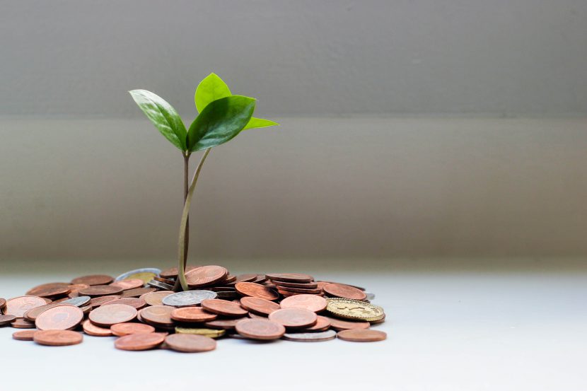 plant growing on coins
